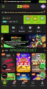 zs999 game 2026