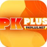 APK-PAKS