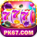 APK-PAKS