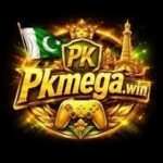 PKmega game apk